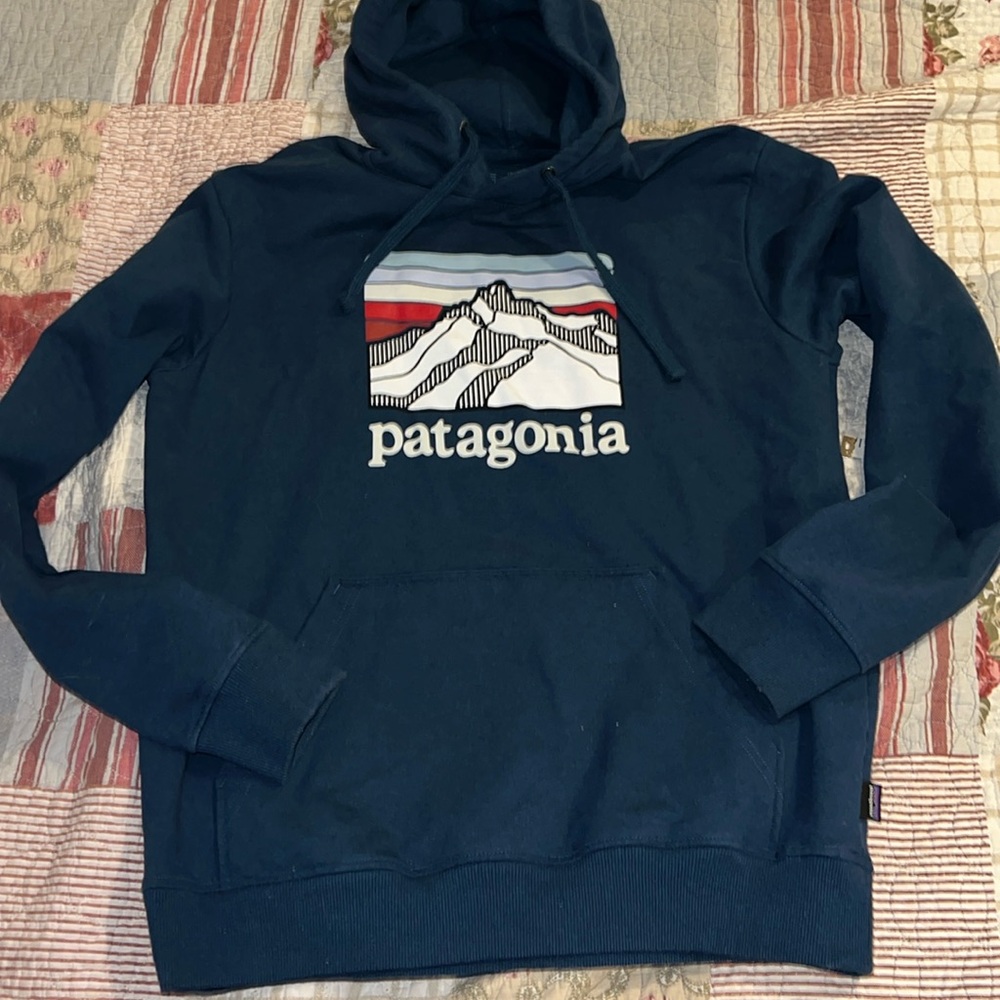 Patagonia hoodie